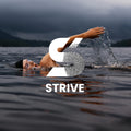Join STRIVE